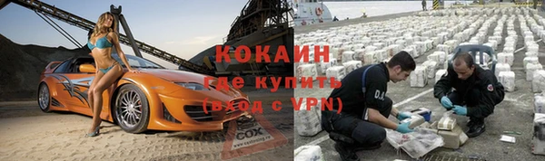 mdpv Богородицк